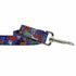 2Hounds Design Love Graffiti Blue Dog Leash 6' - Poudre Pet & Feed Supply 2